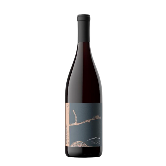 Terroir 2025