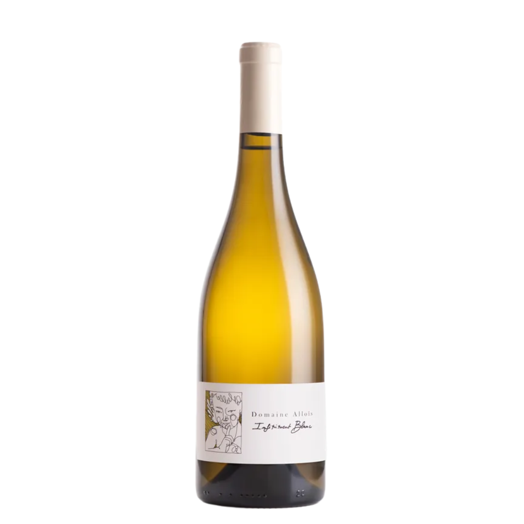 Infiniment Blanc 2024